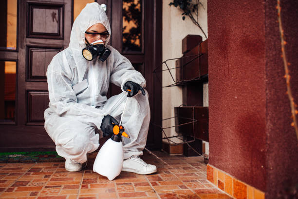 Attic and Crawl Space Rodent Treatment in Terre du Lac