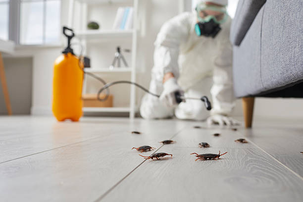 Commercial Rodent Management in Terre du Lac